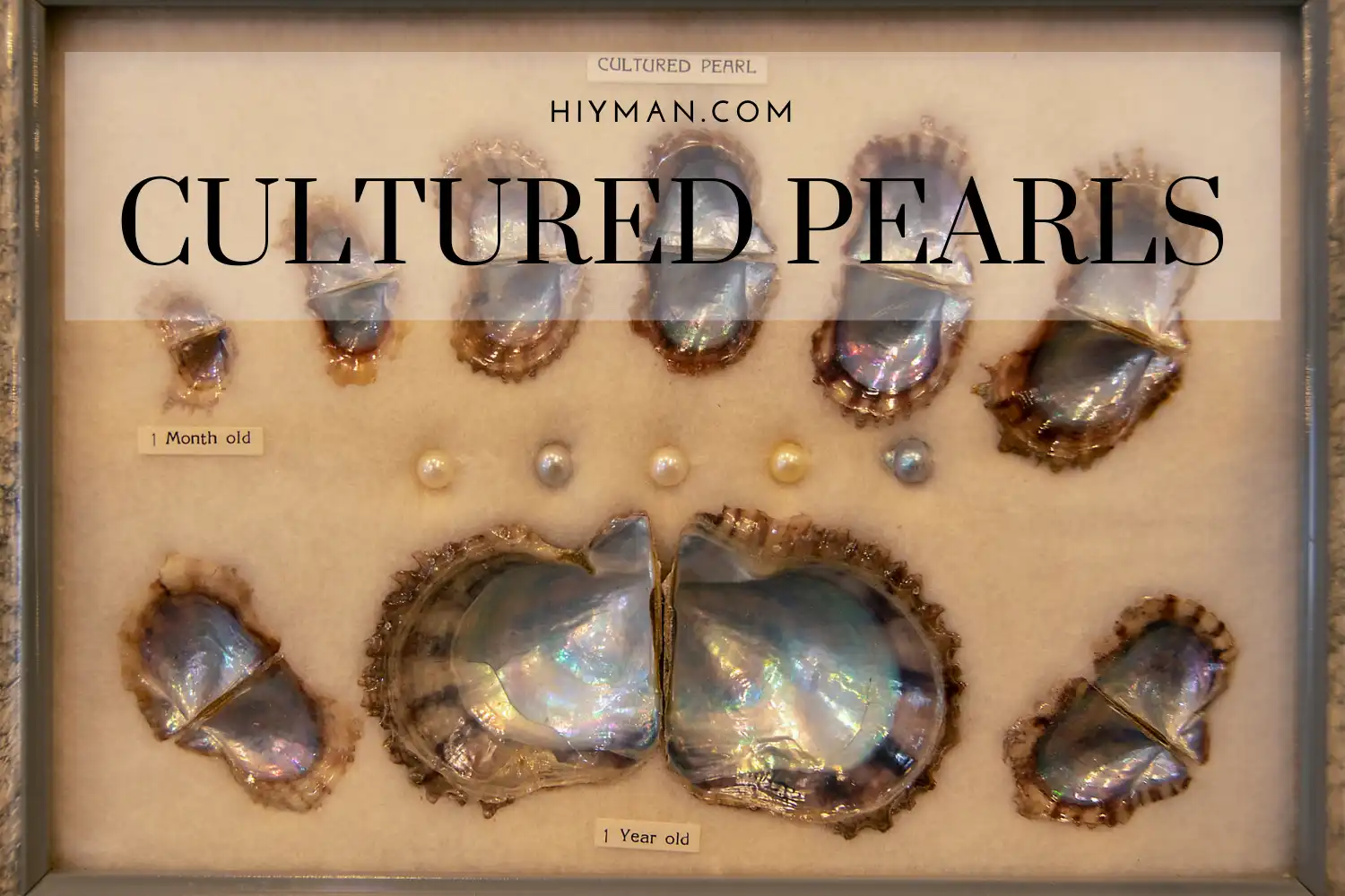 Pearl Types-Cultured Pearls